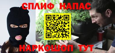 сатива Бузулук