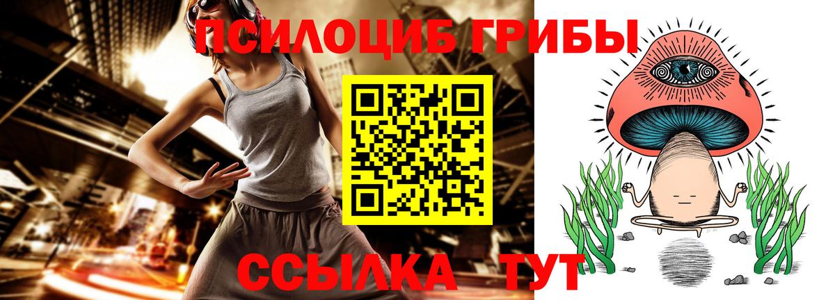 Псилоцибиновые грибы GOLDEN TEACHER  Галлюциногенные грибы Psilocybine cubensis  Вход с VPN  Моршанск 